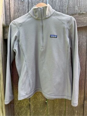 Patagonia Light Gray Fleece Jacket with Mountain Logo